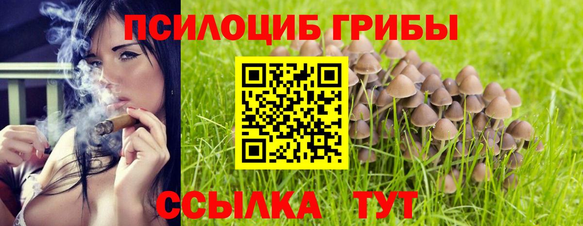Черняховск  Галлюциногенные грибы Magic Shrooms  Псилоцибиновые грибы GOLDEN TEACHER  Вход с VPN 